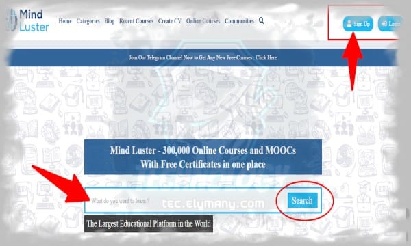 أفضل خمسة مواقع إلكترونية لا غنى عنها